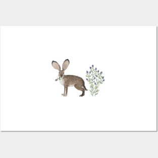 Black-tailed Jackrabbit Posters and Art